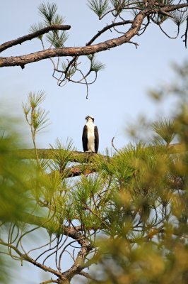 DSC_1020.JPG