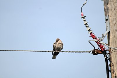 DSC_1028.JPG