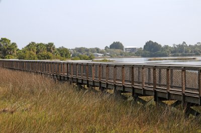DSC_1034.JPG