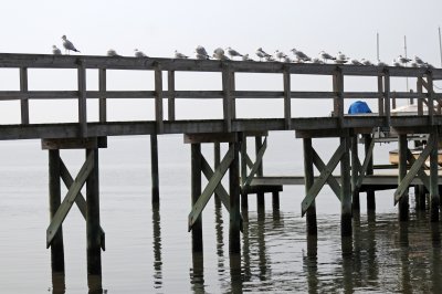 DSC_1046.JPG