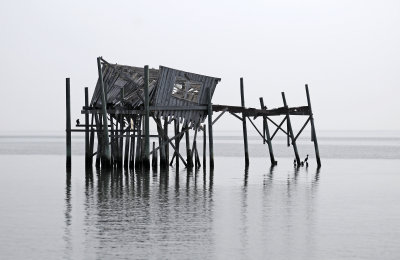 DSC_1047.JPG