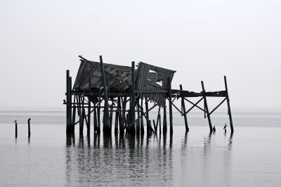 DSC_1048.JPG