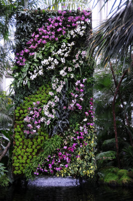March 2, 2012 Photo Shoot - Orchid Show at NY Botanical Garden