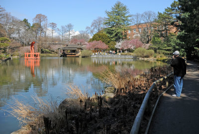 March 20, 2012 Photo Shoot - WSV Sasaki Garden & Brooklyn Botanical Garden