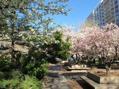 Condemned by President Sexton's (De)Construction Plan at NYU by the NYC Government 