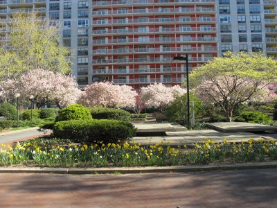 Condemned by President Sexton's (De)Construction Plan at NYU by the NYC Government 