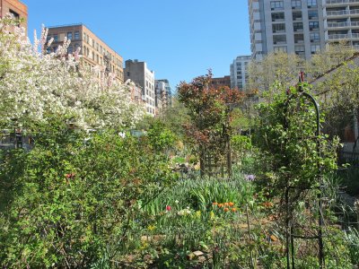 Condemned by President Sexton's (De)Construction Plan at NYU by the NYC Government 