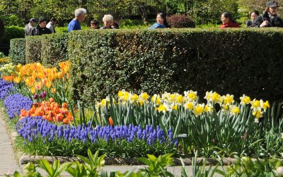 Springtime Viewing of the English Garden
