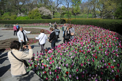April 14, 2012 Photo Shoot -  Central Park Conservatory Gardens and Lake Area