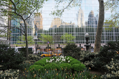 Flower Garden with Midtown Skyline Window Reflections