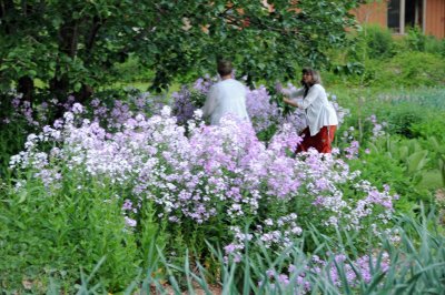 Herb & Flower Garden - Camp Hill Village, Copake, NY