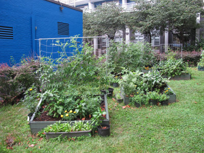 Children's Fruit, Vegetable, Herb and Flower Box Gardens