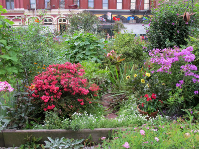 Neighborhood Garden to be Destroyed by NYC/NYU Plan