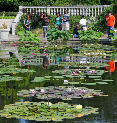Summer 2012 - Brooklyn Botanic Garden 