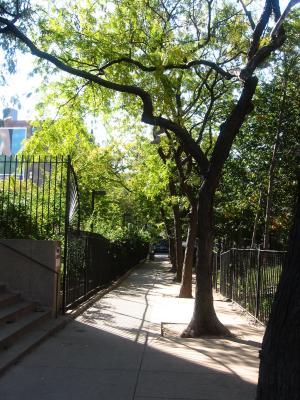 Walkway between 505 LaGuardia Place Garden & Time Landscape Garden