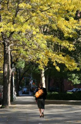 Fall Scene - Woman & Locust Tree