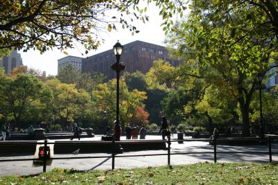 Fountain Area & NYU Library
