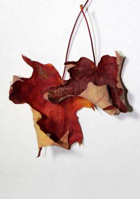 Two Maple Leaves