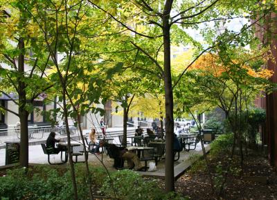 NYU Library Garden