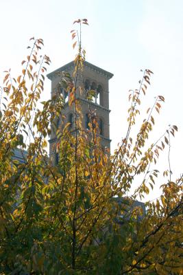 Judson Church Bell Tower & Cherry Tree Foliage