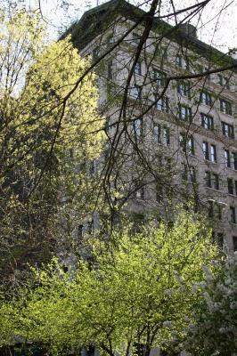NYU Main Building & New Spring Foliage