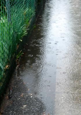 Rain Puddles