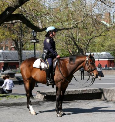 NY Mounted Police
