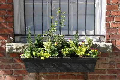 Flower Box