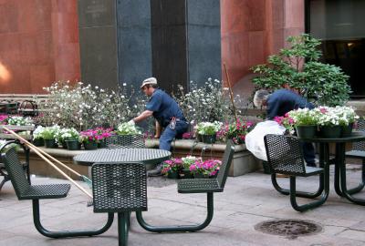 Spring Gardening