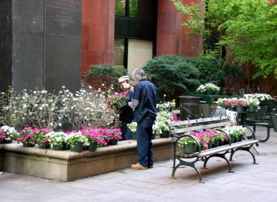 Spring Gardening