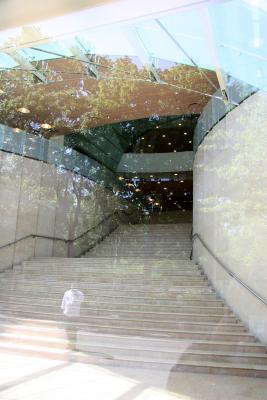 Chef at NYU Student Center Entrance - Reflections