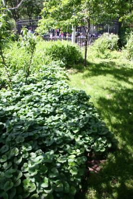 Ground Cover & Toddlers' Playground