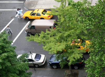 Street Crossing