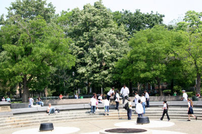 Summer Foliage & Fountain Frolic