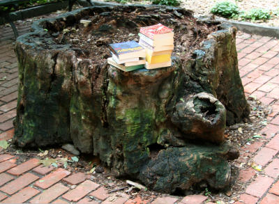 Tree of Knowledge - Oak Tree Stump