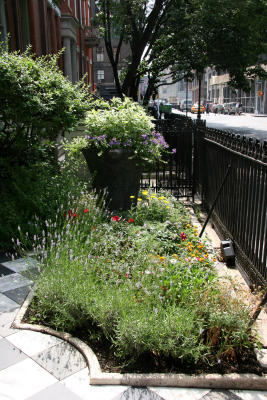NYU Arts & Science Street Garden