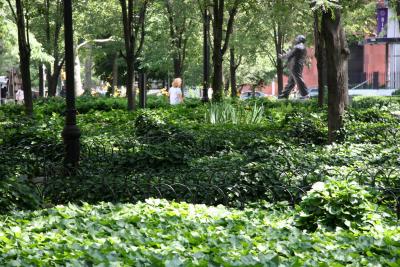LaGuardia Place Gardens