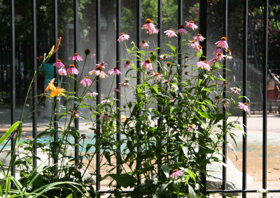Children's Playground Garden & Shower
