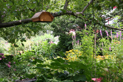 Under an Apple Tree Garden View