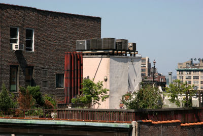 Roof Garden