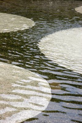 Fountain Pool Reflections