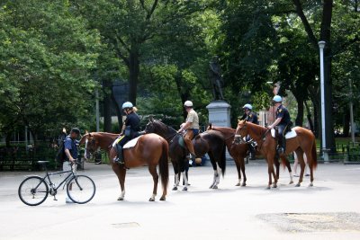 NYPD Cavalry Members
