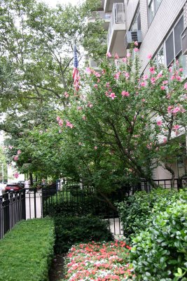 Street Garden