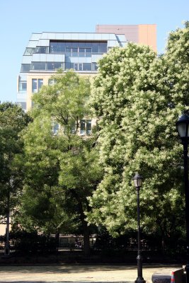 NYU Student Center