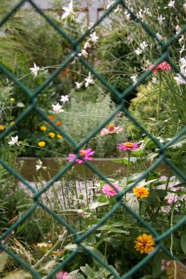 Miniature Meadow