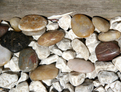 Stones on a Garden Path