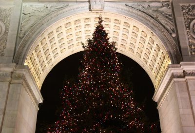 Christmas Tree at the Arch