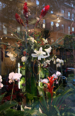 Florist Window