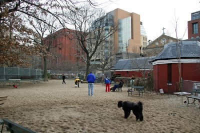 Main Dog Run - NYU Library & Student Affairs Buildings