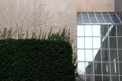  Metropolitan Museum of Art, Ivy Wall & Window Reflections